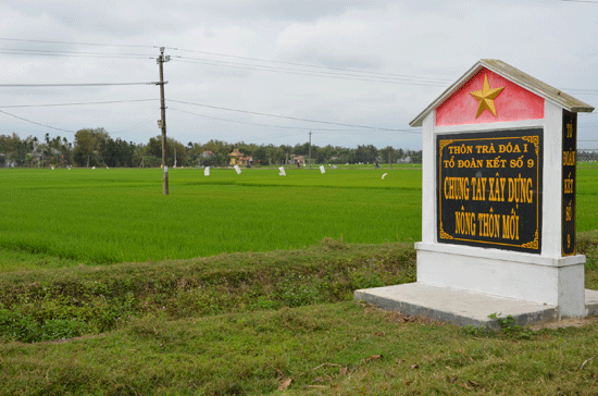 Trên cánh đồng thôn Trà Đóa 1 (xã Bình Đào), đã bắt đầu hình thành cánh đồng lớn theo hướng sản xuất hàng hóa.Ảnh: TR.HỮU