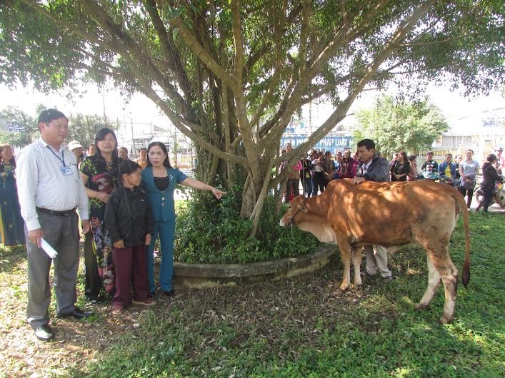 Hội LHPN xã Tam Hiệp trao tặng bò cho người nghèo. Ảnh: VĂN PHIN