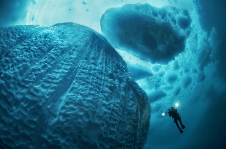 Icebreaker. Commended, Wide Angle. We planned to dive in April in Greenland to specially photograph the icebergs. In spring the visibility is very good. The water is about -2° Celsius, but at the sight of the ice during the dive, the icy temperature can quickly be forgotten. The structures of the giant are shimmering blue-greenish in the strong sunlight. In some places sharp edges like oversized axes rise from the ice and in others the ice is traversed by fine cracks that run like veins through it. Almost everywhere is a thin, transparent layer of ice, only a few centimeters thick, over a solid white core that looks like snow. Taken near Tasiilaq, East Greenland. © UPY / Tobias Friedrich
