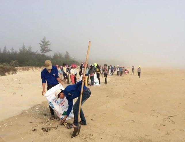 Thu gom rác thải bãi biển.