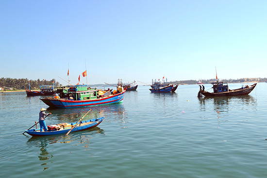Quảng Nam rất cần thực hiện các giải pháp khả thi để phát triển hiện đại nghề cá.