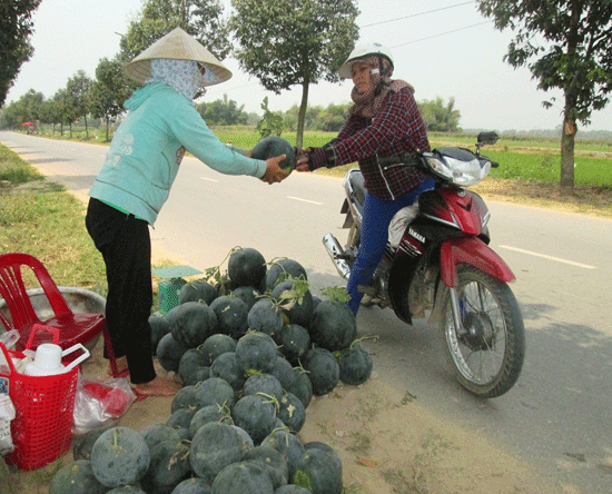 Nông dân Duy Xuyên gánh dưa hấu ra bán dọc trục đường ĐT610. Ảnh: HOÀI NHI