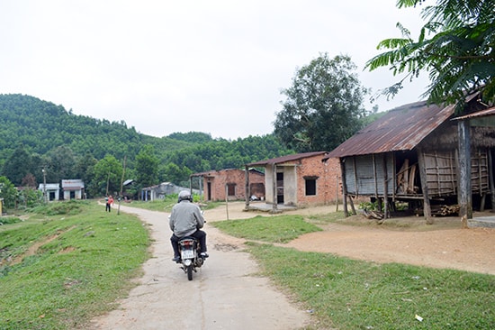 Thung lũng Trại 2, xung quanh phía trên là rừng cao su, nơi có nhiều người dân bị bệnh viêm gan A,B. Ảnh: VĨNH LỘC