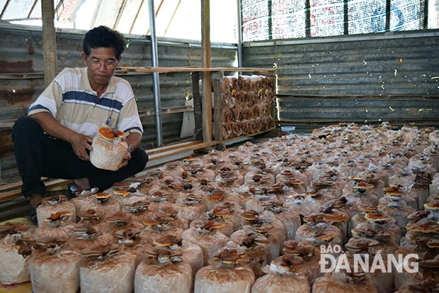 Nhờ kết nối thị trường qua mạng, người nông dân đã tìm được đầu ra cho sản phẩm. 