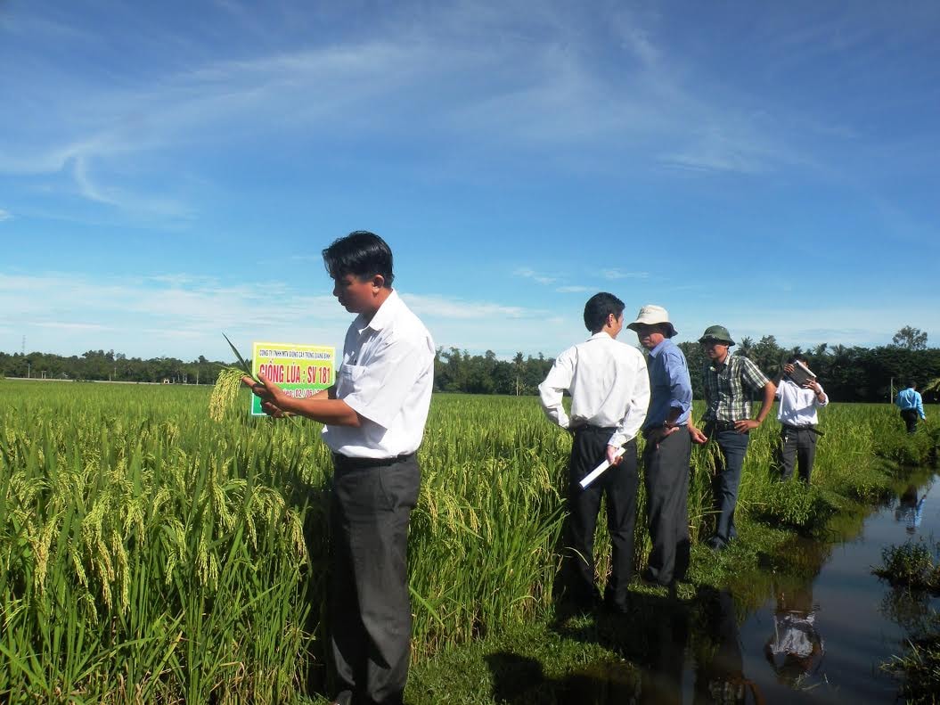 Hiện nay, toàn huyện đã có hàng loạt mô hình cánh đồng mẫu, cánh đồng cho thu nhập cao với tổng diện tích 1.200ha.  