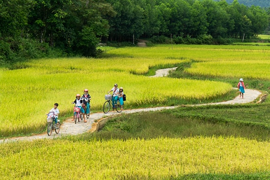 Về làng. Ảnh: NGUYỄN HÀ