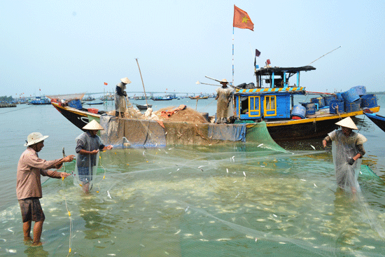 Ngư dân được mùa cá trích và cá hố.Ảnh: V.QUANG