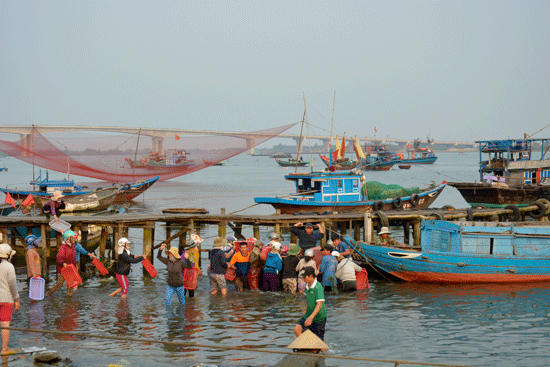 Nhiều người mua - bán cá nhỏ lẻ túa ra giành giật khi ngư dân chèo thúng chuyển cá vào bờ. Ảnh: XUÂN KHÁNH