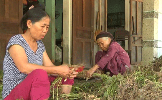 Bà Trần Thị Thu (thôn Bình Túy, xã Bình Giang) mất 8 triệu đồng để mua thuốc điều trị từ “thầy thuốc dỏm”.