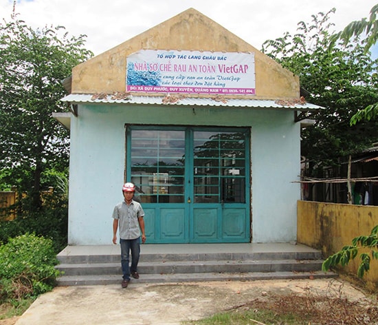 Sản phẩm bí đầu ra, nhà sơ chế rau quả an toàn ở xã Duy Phước (Duy Xuyên) phải bỏ hoang lâu nay.Ảnh: HOÀI NHI