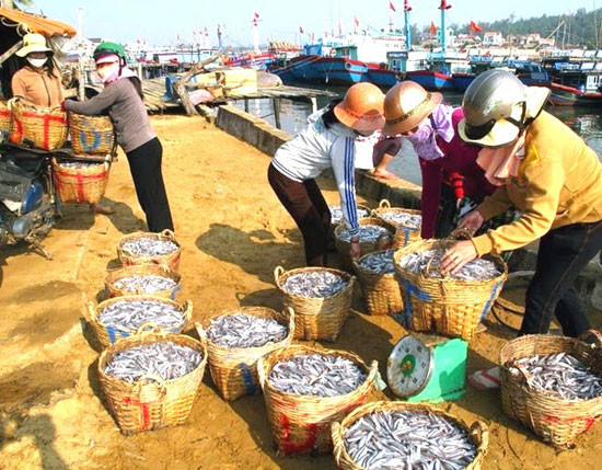 Cá cơm được mua bán rộn rã ở bến cá Duy Hải.
