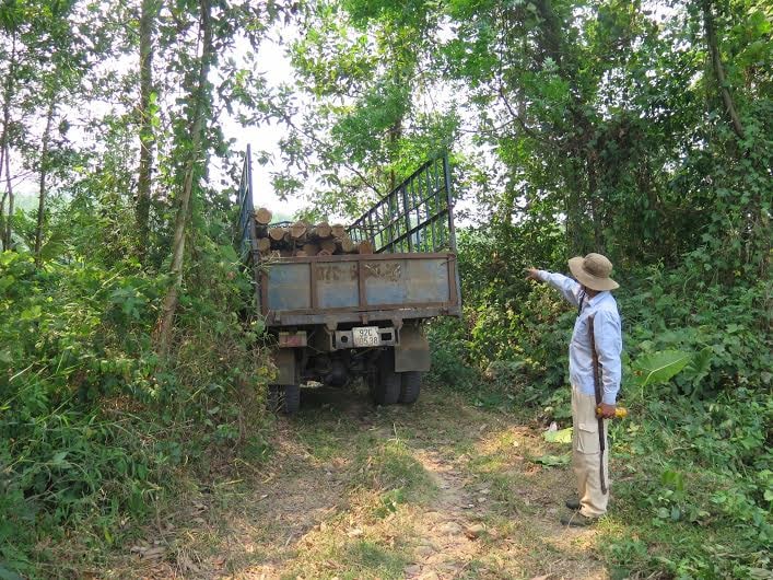 Chiếc xe tải bị chặn lại khi đang đưa gỗ ra khỏi rừng. Ảnh: P.N