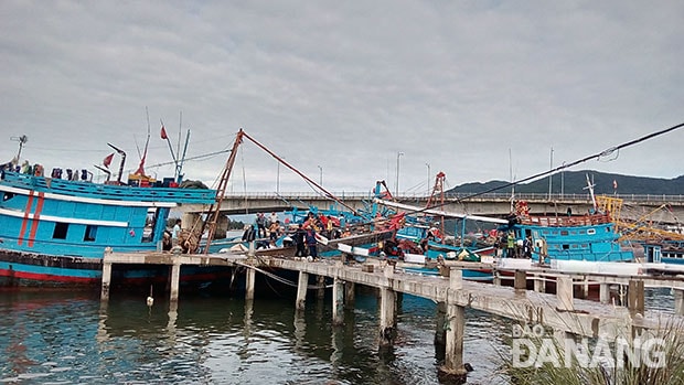 Chuẩn bị vươn khơi.