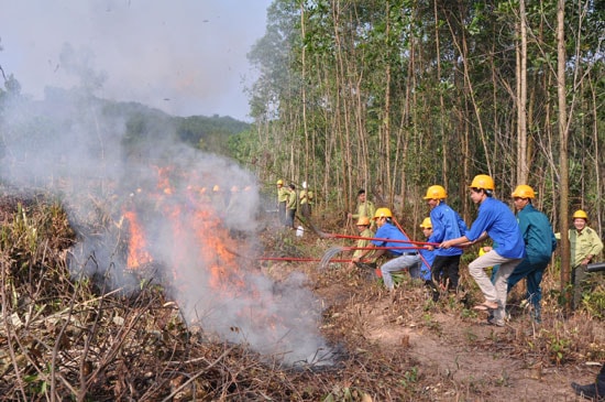 Dập lửa trong một vụ cháy rừng ở xã Duy Phú (Duy Xuyên). Ảnh: T.H