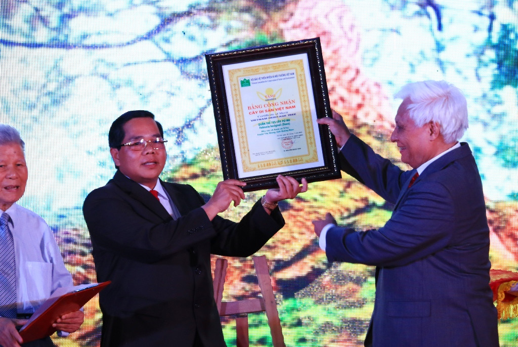 Ông Bh ling Mia - Chủ tịch UBND huyện Tây Giang đón nhận bằng chứng nhân Cây di sản Việt Nam đối với 725 cây pơmu. Ảnh: C.N