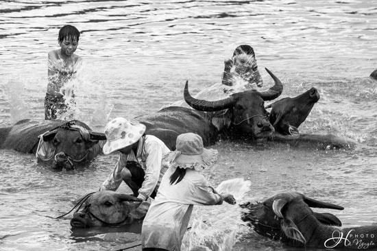 Làng tôi. Ảnh: NGUYỄN HÀ