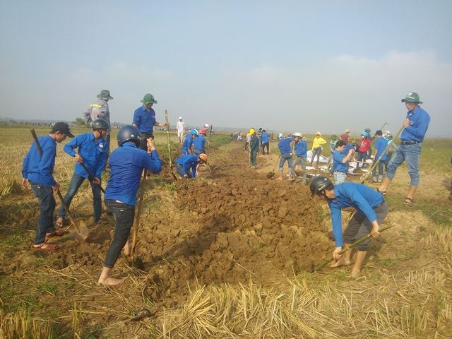 ĐVTN nạo vét kênh mương, đắp bờ bao ngăn ruộng. Ảnh: MỸ LINH