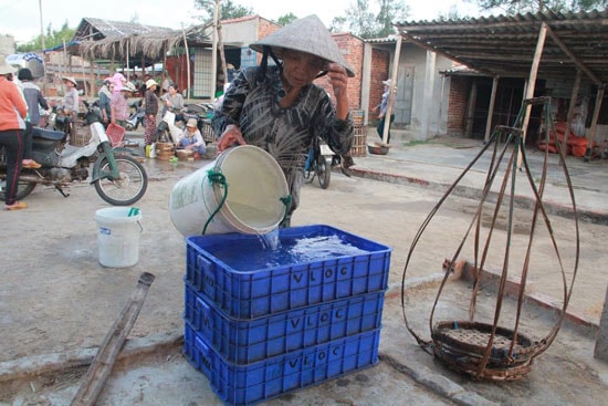 Ngày nào bà Anh cũng dậy từ 4 giờ sáng, ra biển gánh nước đổ đầy các vật dụng cho các chủ buôn cá trên bãi biển. Ảnh: N.T