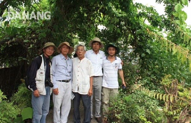 Đoàn điều tra dược liệu thành phố Đà Nẵng khảo sát vườn thuốc nam của lương y Trần Đình Niên (đứng giữa). Ảnh: P.C.T