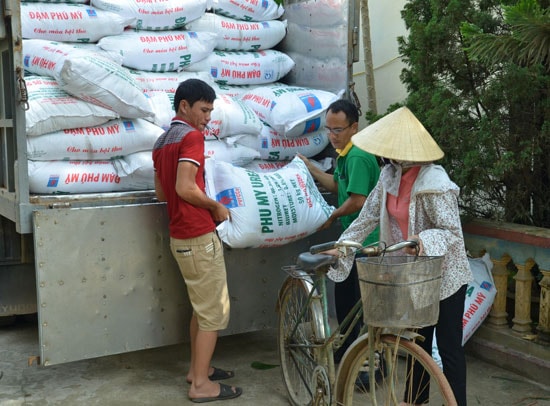 Sản phẩm phân bón Phú Mỹ được bà con nông dân tin dùng.