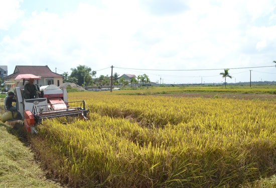 Xã Bình Giang đã hoàn thành mục tiêu xây dựng nông thôn mới. Ảnh: Q.V