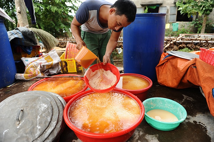 Nếp được ngâm với nước tro đã tinh lọc, đây là công đoạn quan trọng nhất. Quyết định cho bánh thơm và ngon.