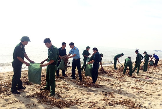 Thu gom rác thải ở biển rạng Kỳ Hà.