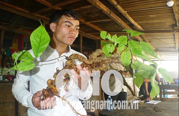 Anh Hồ Văn Chiêu (con ông Hạnh) nâng niu “cây tỉ đô”. Ảnh: H.T