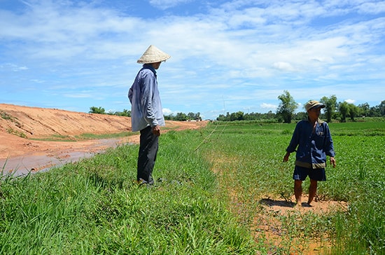 Người dân phản ánh tình trạng nước mưa cuốn theo bùn đất tràn vào ruộng do hệ thống cống rãnh thoát nước đường cao tốc thi công dang dở.  Ảnh: TR.HỮU