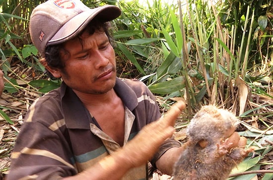 Anh Hồ Văn Đức là người săn cúi núi giỏi nhất ở Nam Trà My. Ảnh: HOÀNG THỌ