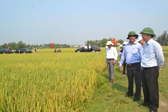 Tổng điều tra có ý nghĩa to lớn để hoạch định chiến lược phát triển khu vực nông thôn. Ảnh: N.Q.V