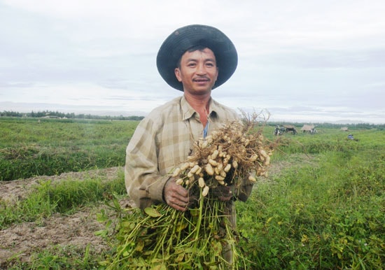 Nhà nông xã Bình Đào rất vui vì mô hình chuyển đổi mang lại hiệu quả cao.Ảnh: T.R