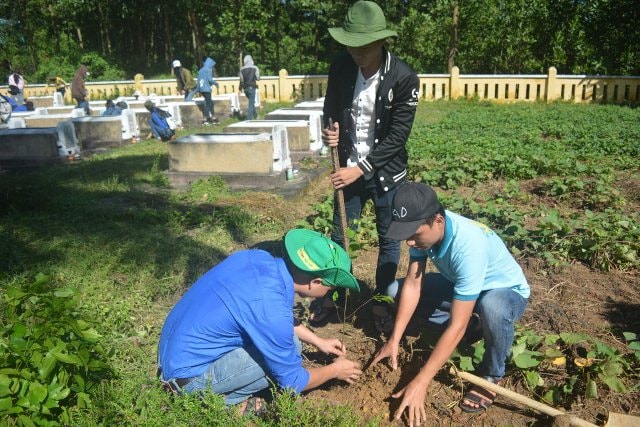 ĐV-TN trồng cây xanh trong khuôn viên trường học. Ảnh: MỸ LINH