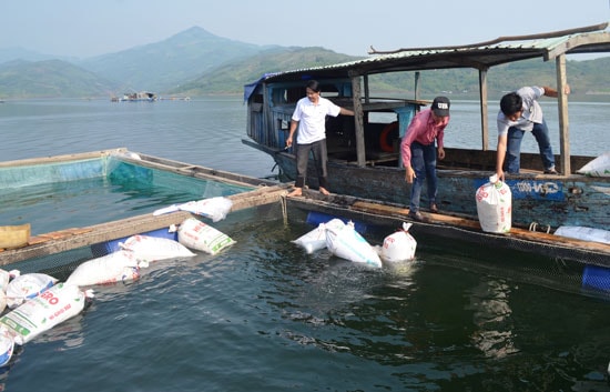 Nuôi cá nước ngọt ở hồ thủy điện Sông Tranh 2. Ảnh: Q.VIỆT