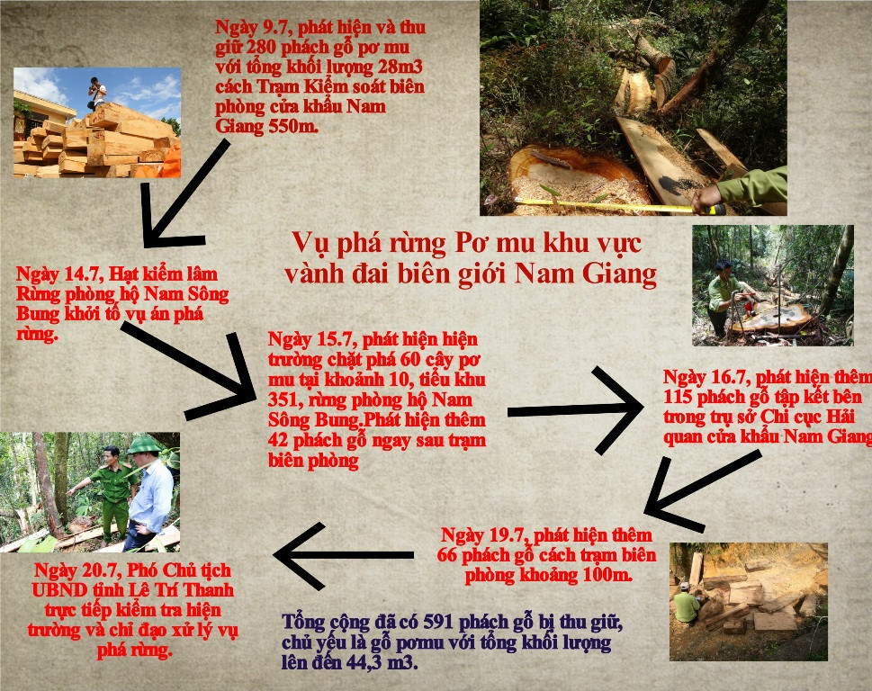 Tóm tắt diễn biến vụ phá  rừng Pơ mu (Infographic: THÀNH CÔNG)