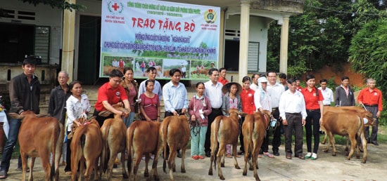 Trao bò giống cho các hộ khó khăn tại vùng đất Sơn – Cẩm – Hà.