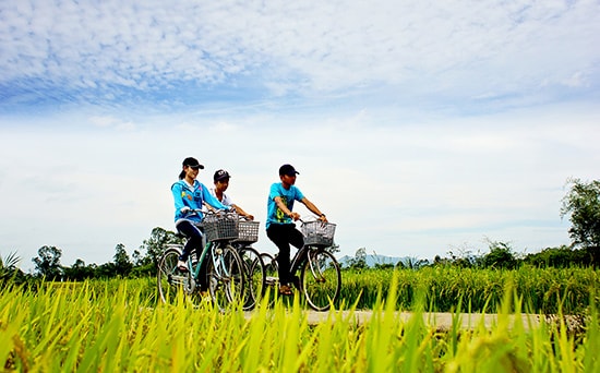 Đường quê Thăng Bình. Ảnh: PHƯƠNG THẢO