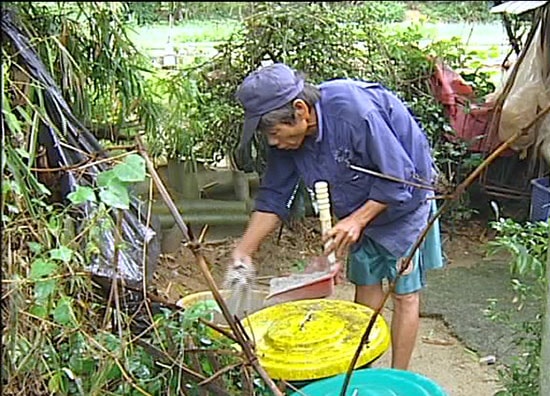 Rác nhà bếp được cho vào thùng làm phân compost tại Trà Quế, xã Cẩm Hà, TP.Hội An.Ảnh: Q.HẢI