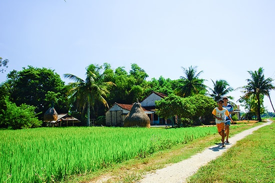 Làng quê Quảng Nam. Ảnh: PHƯƠNG THẢO