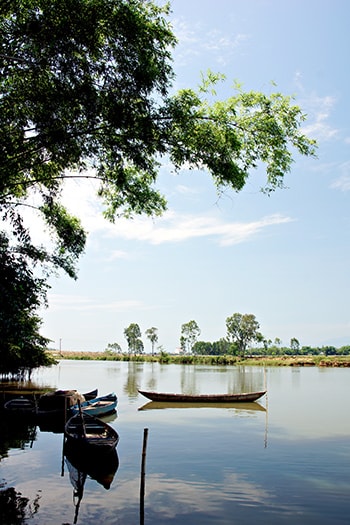 Lũy tre tỏa bóng mát bên sông. Ảnh: PHƯƠNG THẢO