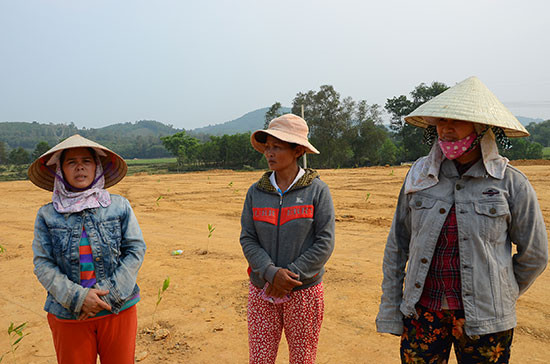 Người dân xã Tam Ngọc (TP.Tam Kỳ) trồng cây giữa đường cao tốc để phản đối việc BT-HT chưa thỏa đáng hồi tháng 5 năm nay.