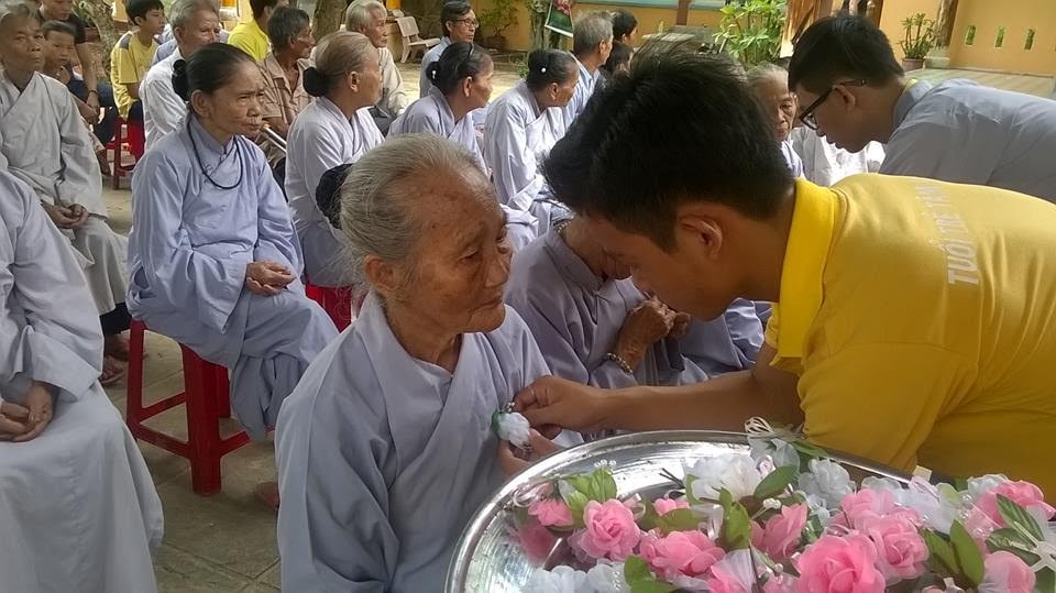 Cài hoa hồng