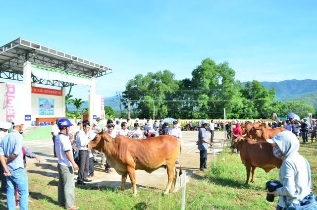 Hội thi diễn ra sôi nổi. Ảnh: NHẬT DUY