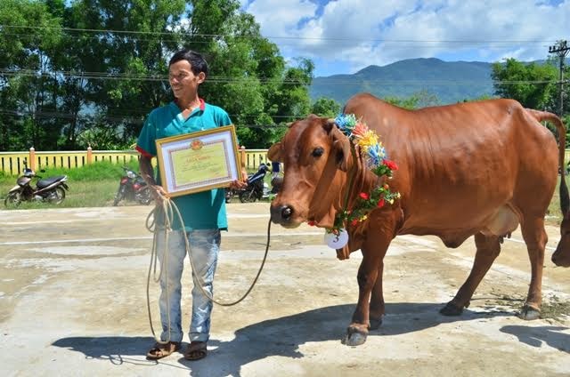 Chú bò đoạt giải nhất. Ảnh: NHẬT DUY