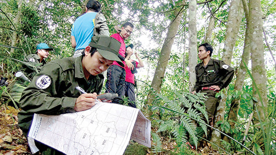 Anh Văn Công Nhật, thành viên đội bảo vệ rừng thuộc Khu bảo tồn Sao la Quảng Nam ghi lại các thông số trong chuyến đi tuần rừng. Ảnh: BÌNH PHÚ