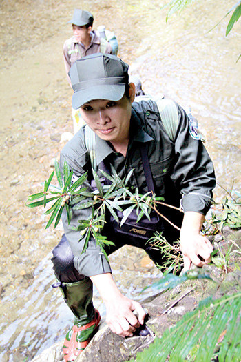 Băng qua suối, bám vào các tảng đá “thầy tu” trơn trợt để đi tuần là công việc hàng ngày của các thành viên Khu bảo tồn Sao la Quảng Nam.