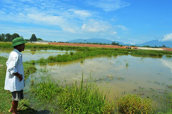 Vùng nước và đồng ruộng của thôn Nam Sơn, xã Hòa Tiến có thông số kẽm vượt ngưỡng cho phép.