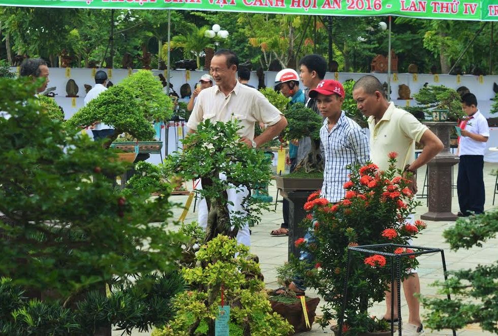 Rất đông người dân đến tham quan và chiêm ngưỡng liên hoan sinh vật cảnh. Ảnh: Q.T