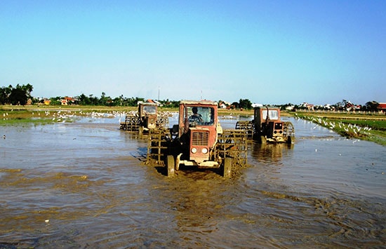 Đưa cơ giới hóa vào đồng ruộng để giải phóng sức lao động và giảm chi phí đầu tư. Ảnh: NGUYỄN SỰ