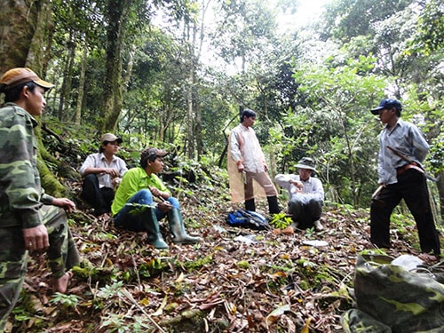 Trên đỉnh Ngọc Linh. Ảnh: H.Liên